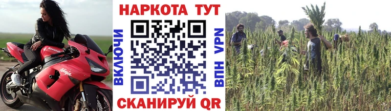 Купить наркотики цена Удачный Канабис  Меф мяу мяу  КОКАИН  Гашиш 