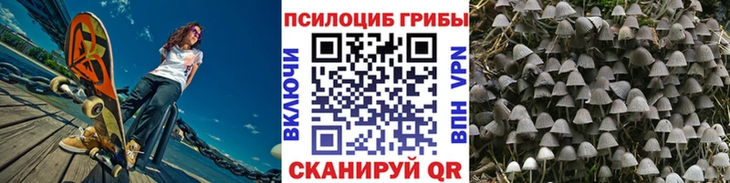 даркнет сайт Удачный shop какой сайт Галлюциногенные грибы прущие грибы
